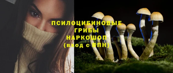бошки Иннополис