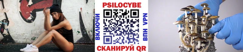 Купить закладки  Туран  Псилоцибиновые грибы мицелий 